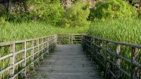 A pathway in the valley. Vídeos de archivo 201239086