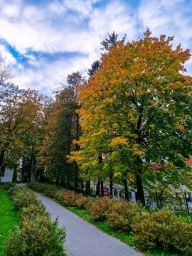 Pathway with vibrant trees and blue sky in autumn Stock Photos