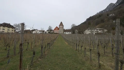 Pathway in the vineyard in Vaduz Vídeos de archivo 87595866