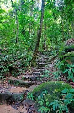 Pathway to a Waterfall Stock Photos