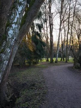Pathway winding through trees at sunset in park Stromovka budweis, czechia Stock Photos