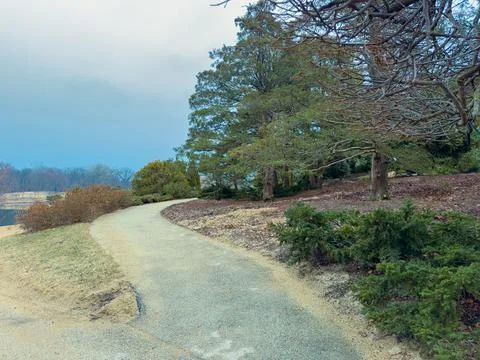 Pathway winds through green trees beside a lake on a cloudy day in a public.. Stock-Fotos