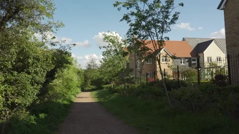 Pathway to the windy forest. 스톡 동영상 188462530