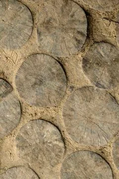 Pathway from wooden slices. Stock Photos
