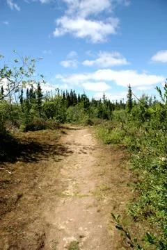 Pathway in woods Stock Photos