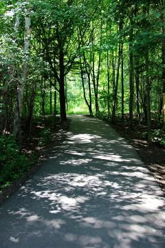 Pathway in woods Stock Photos