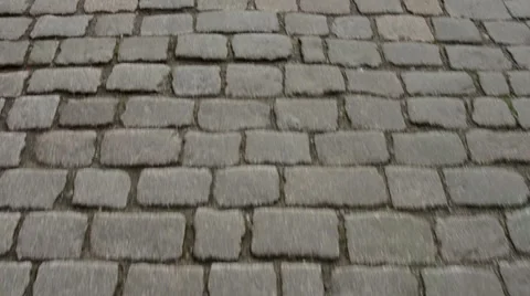 Pathway to Zwinger in Dresden Stock Footage 39986021