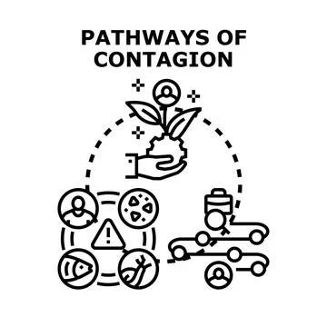Pathways of contagion disease transmission vector process Stock Illustration