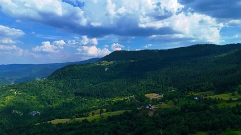 Pathways Of Living Forests Stock Footage 313783070