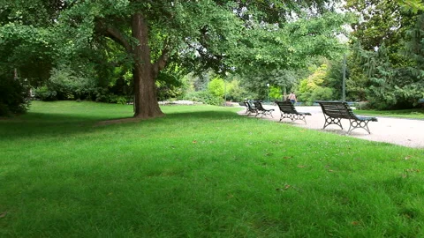 Pathways in a Parisian Park Stock Footage 332457929