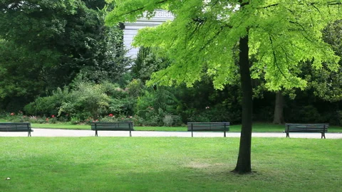 Pathways in a Parisian Park Stock Footage 332457936