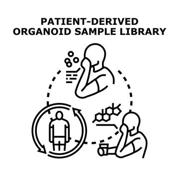 Patient derived organoid sample library research concept Stock Illustration