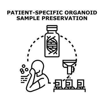 Patient specific organoid sample preservation concept Illustrazione stock