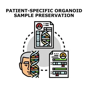Patient specific organoid sample preserving and genetic data analysis 스톡 일러스트