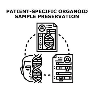 Patient specific organoid sample preserving and genetic data analysis 스톡 일러스트