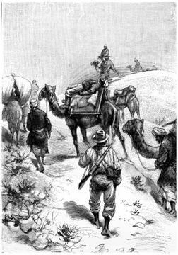 Patients were lying on the back of two camels, vintage engraving.. Stock-Illustration