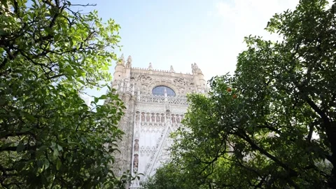 Patio de los Naranjos frames Gothic west front of Seville Cathedral Stock Footage 330935393