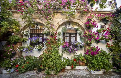 Patio decorated with flowers geraniums in flower pots on the wall of the house Fotos de archivo