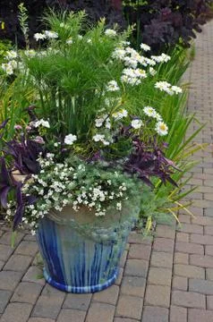 Patio flower container Stock Photos