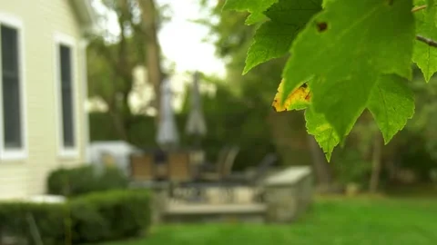 Patio focus to leaf focus closeup Stock Footage 140886871