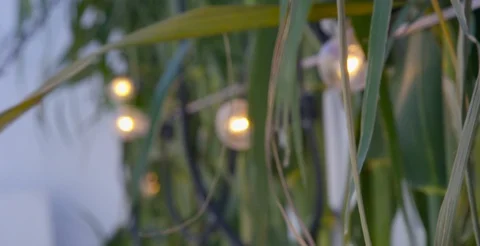 Patio Lights on Mykonos Stock-Footage 87232437