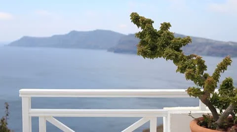 Patio Plant Video stock 8952482