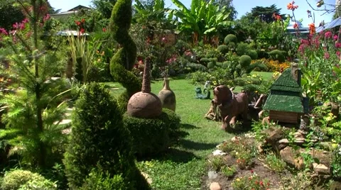 Patio in Sochi Stock Footage 8601269