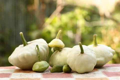 Patisson bush pumpkin lay on table outdoor still life Stock Photos