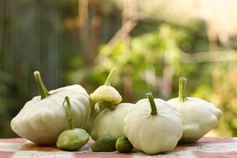 Patisson bush pumpkin lay on table outdoor still life Stock Photos