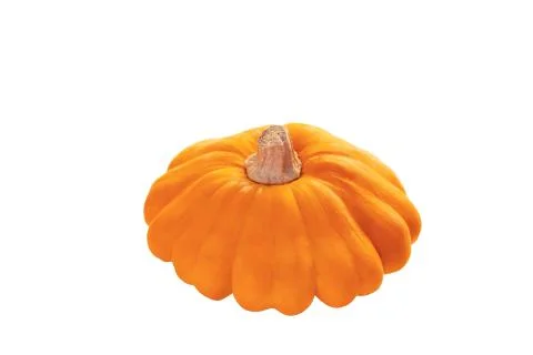 Patisson isolated on white background. Stock Photos