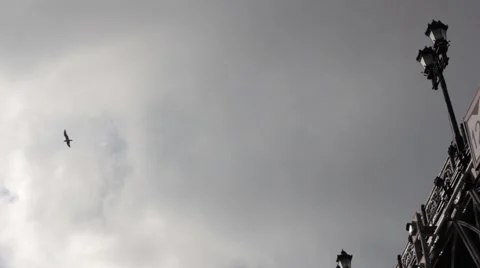 Patriarchal Bridge Stock Footage 67555134