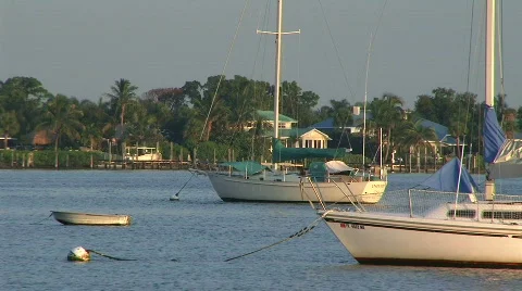 Patricio-pml0016 Stock Footage 276105