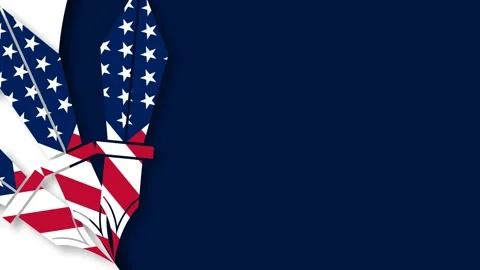 Patriotic American Flag Background for Constitution Day and Citizenship Day.. Stock Footage 343258323