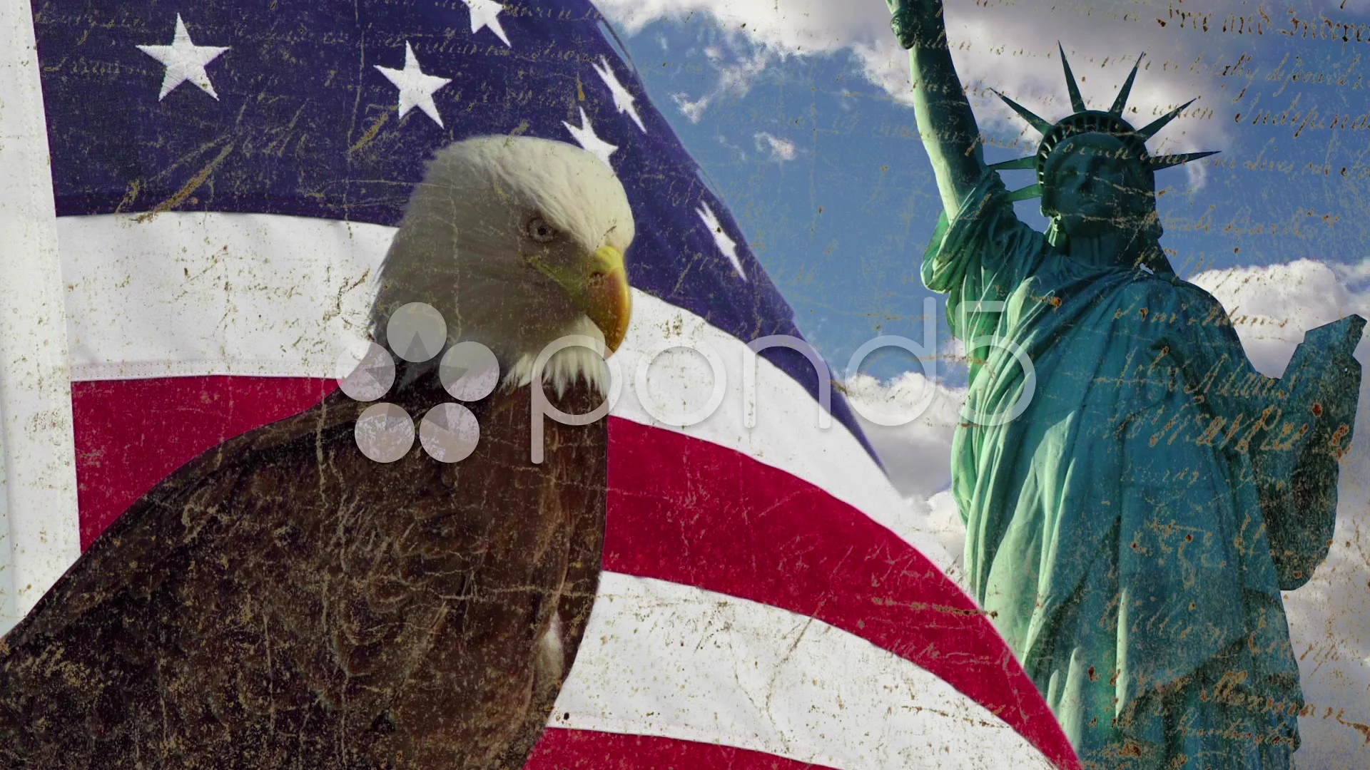 Patriotic Bald Eagle Usa Flag Freedom St... | Stock Video | Pond5