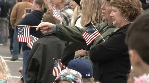 Patriotic Crowd 스톡 동영상 69746249