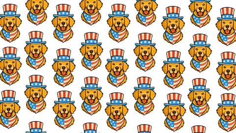 Patriotic Dog Pattern with American Flag Theme Stock Footage 331864012