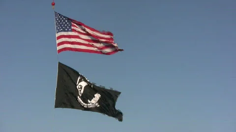 Patriotic flags Stock Footage 130555