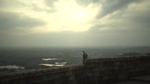 Patriotic Video stock 196220140