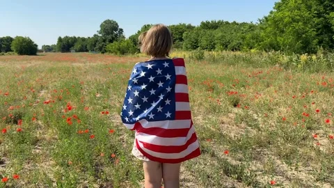 Patriotic Summer Stroll Stock Footage 311657796