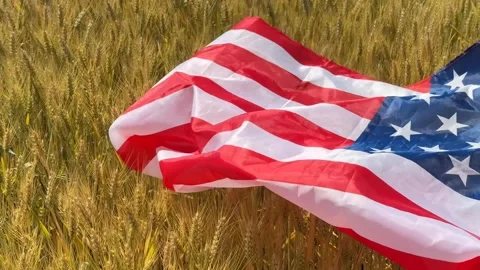 Patriotic Wheat Field Stock Footage 311657823