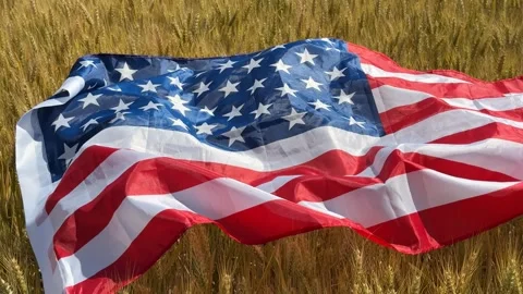 Patriotic Wheat Field Stock Footage 311658070