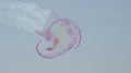 Patrulla Águila with CASA C 101 Aviojet airshow smoking spiral flying in the sky 4k or 4k+ Resolution