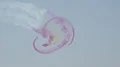 Patrulla Águila with CASA C 101 Aviojet airshow smoking spiral flying in the sky HD Footage