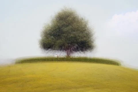 Patta mod01g Stock Photos