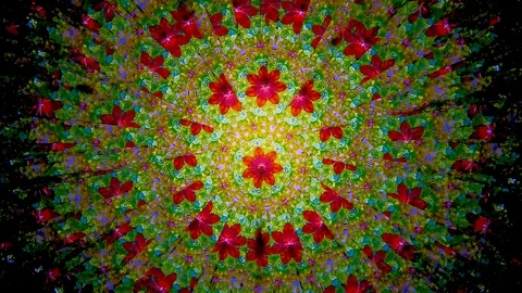 Pattern 18. natural children's mirror Kaleidoscope  from our childhood Stock Footage 123211114