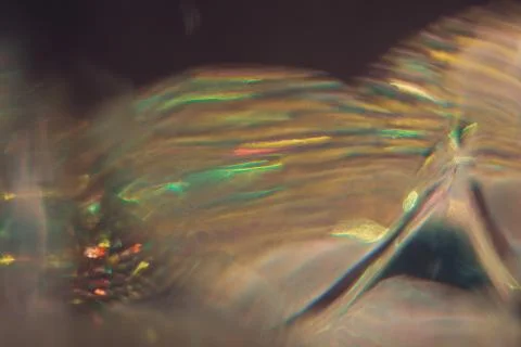 Pattern with absdtracte lights different colors on light background. Stock Photos