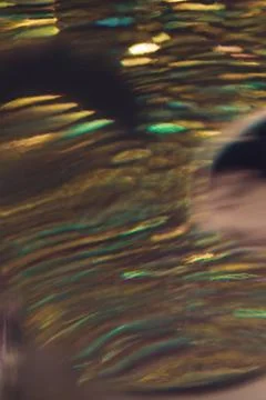 Pattern with absdtracte lights different colors on light background. Stock Photos