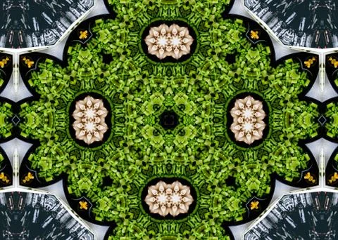 Pattern Abstract Fractal background Stock Illustration