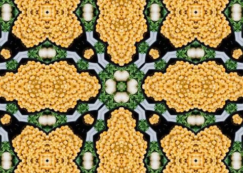 Pattern Abstract Fractal background Stock Photos