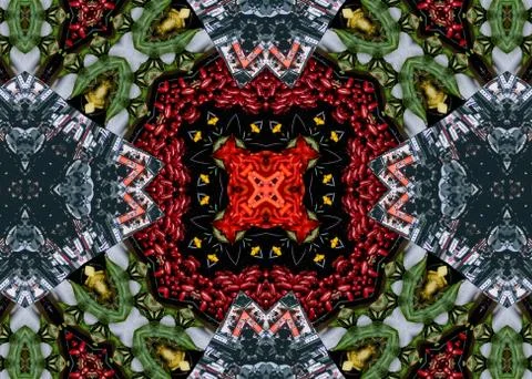 Pattern Abstract Fractal background Stock Photos